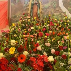 Meet your Posher, Janeth